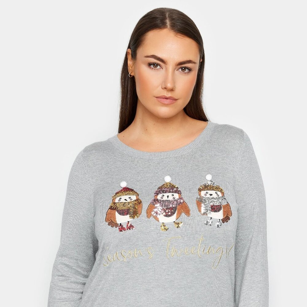 Evan Plus size 20 Seasons Tweetings Holiday Christmas Sweater, Gray, Relaxed Fit